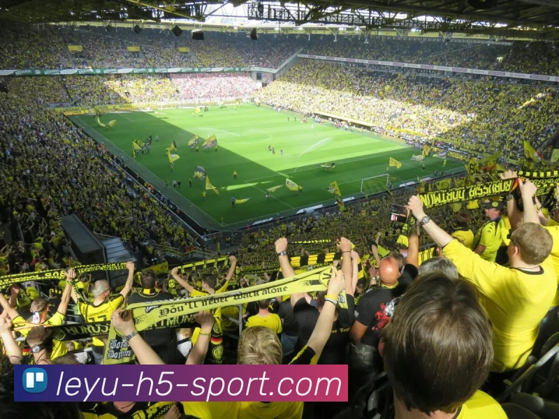 乐鱼体育平台生态图