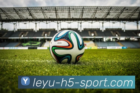 乐鱼体育APP 封面图